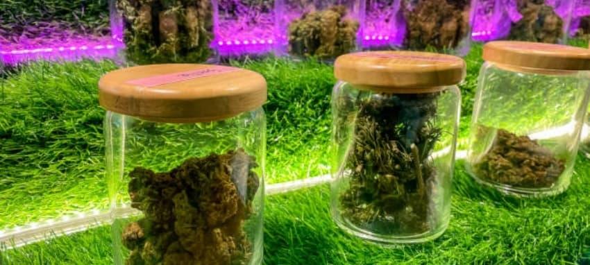 Jak arytmie a elektronická cigareta ovlivňují srdce, rizika, prevence a rady odborníků